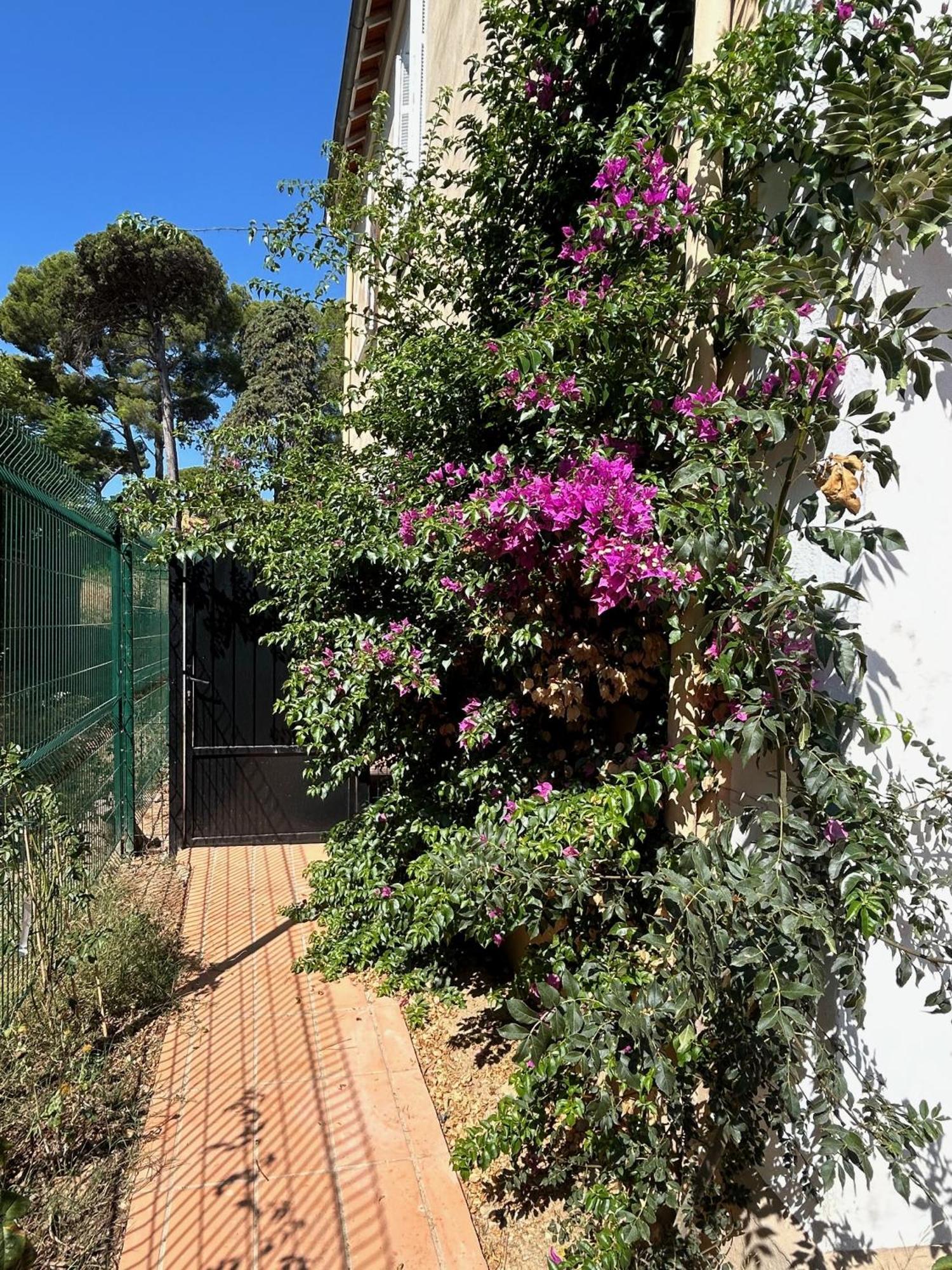 Villa Les Lys 2 La Seyne-sur-Mer Exterior photo